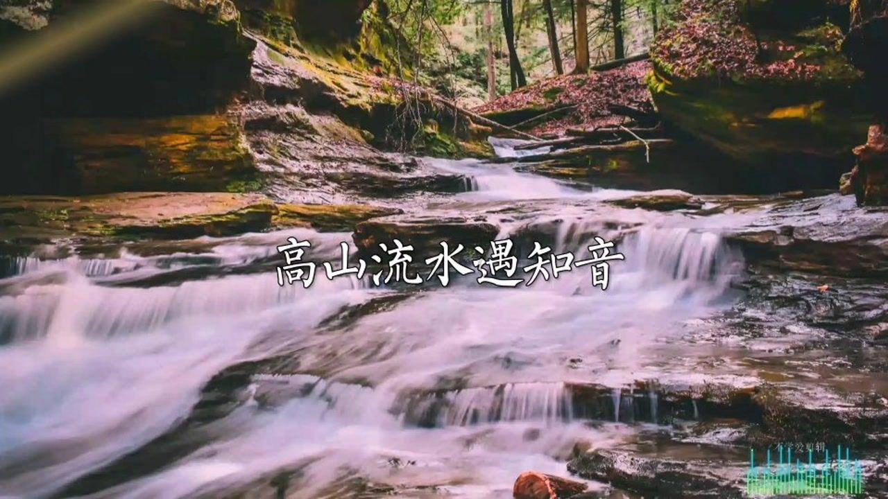 了不起的麦瑟尔夫人